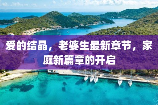 愛(ài)的結(jié)晶，老婆生最新章節(jié)，家庭新篇章的開(kāi)啟