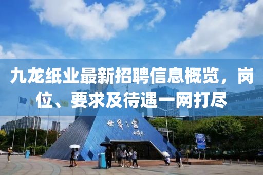 九龍紙業(yè)最新招聘信息概覽，崗位、要求及待遇一網(wǎng)打盡