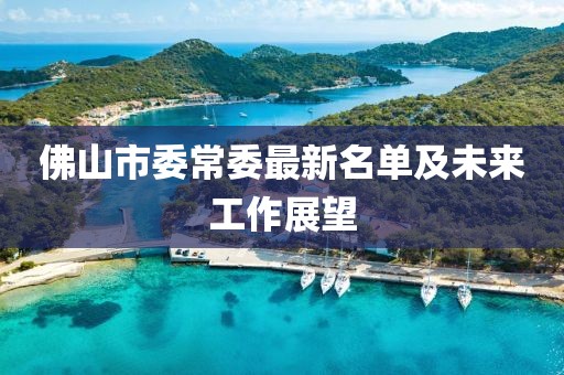 佛山市委常委最新名單及未來工作展望