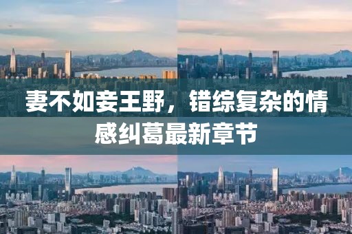 寰鸞 第11頁