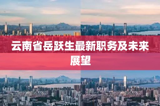 云南省岳躍生最新職務(wù)及未來展望