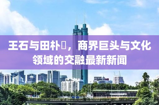 王石與田樸琤，商界巨頭與文化領(lǐng)域的交融最新新聞