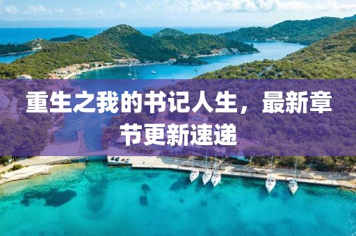 重生之我的書記人生，最新章節(jié)更新速遞