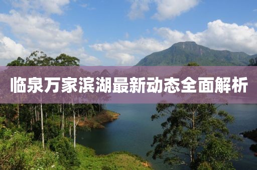 臨泉萬家濱湖最新動(dòng)態(tài)全面解析