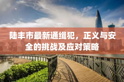 陸豐市最新通緝犯，正義與安全的挑戰(zhàn)及應(yīng)對策略