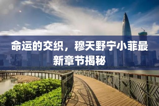 命運的交織，穆天野寧小菲最新章節(jié)揭秘