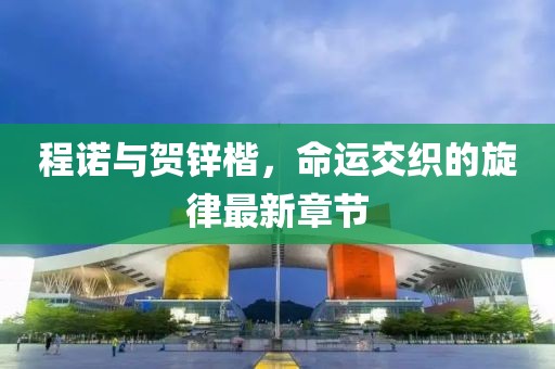 程諾與賀鋅楷，命運(yùn)交織的旋律最新章節(jié)