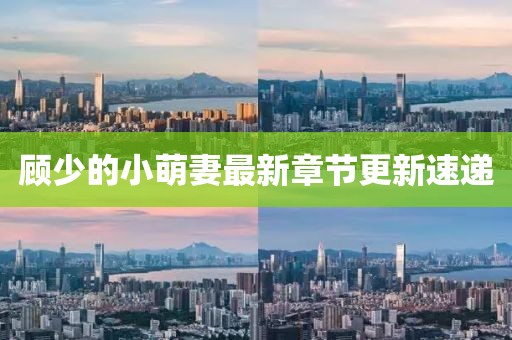 顧少的小萌妻最新章節(jié)更新速遞