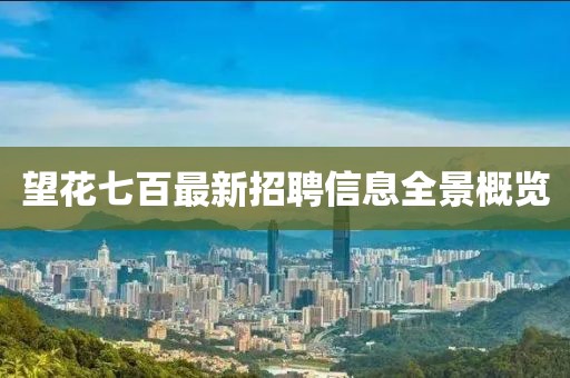 望花七百最新招聘信息全景概覽