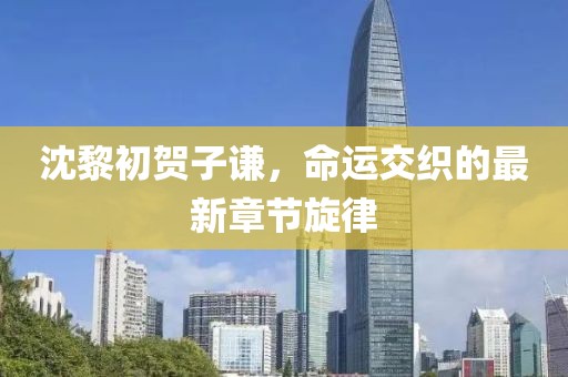 沈黎初賀子謙，命運(yùn)交織的最新章節(jié)旋律