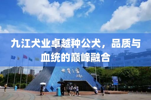 九江犬業(yè)卓越種公犬，品質(zhì)與血統(tǒng)的巔峰融合