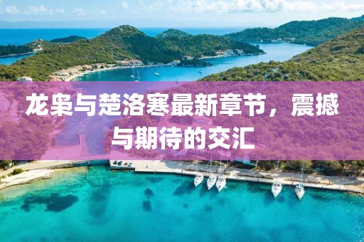 龍梟與楚洛寒最新章節(jié)，震撼與期待的交匯