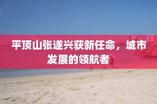 平頂山張遂興獲新任命，城市發(fā)展的領(lǐng)航者