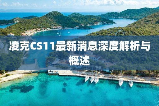 凌克CS11最新消息深度解析與概述
