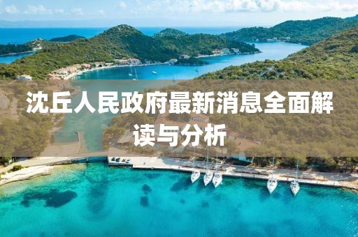 沈丘人民政府最新消息全面解讀與分析