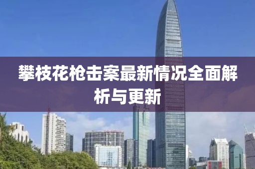 攀枝花槍擊案最新情況全面解析與更新