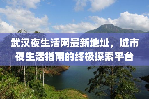 武漢夜生活網(wǎng)最新地址，城市夜生活指南的終極探索平臺(tái)