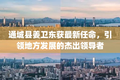 通城縣姜衛(wèi)東獲最新任命，引領(lǐng)地方發(fā)展的杰出領(lǐng)導(dǎo)者
