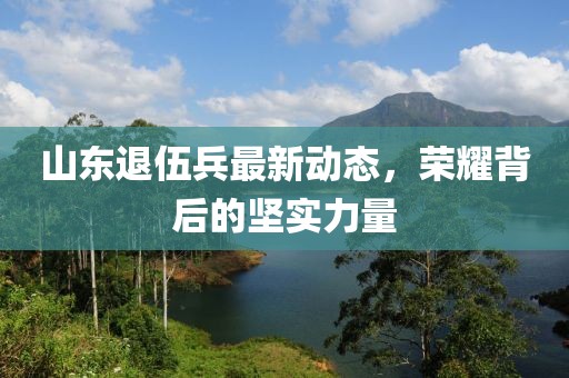 山東退伍兵最新動(dòng)態(tài)，榮耀背后的堅(jiān)實(shí)力量