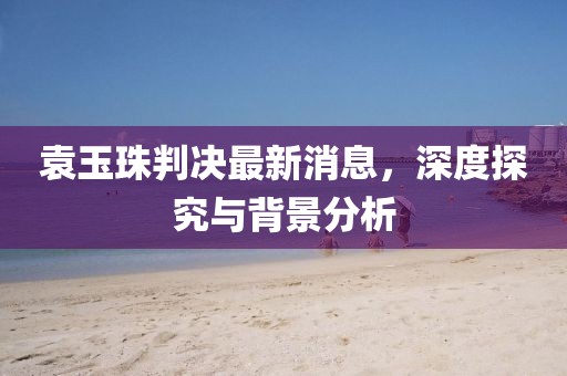 袁玉珠判決最新消息，深度探究與背景分析