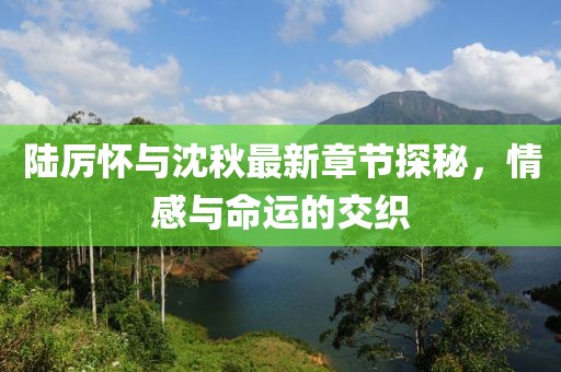 陸厲懷與沈秋最新章節(jié)探秘，情感與命運(yùn)的交織