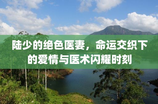 陸少的絕色醫(yī)妻，命運交織下的愛情與醫(yī)術(shù)閃耀時刻