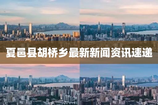 夏邑縣胡橋鄉(xiāng)最新新聞資訊速遞