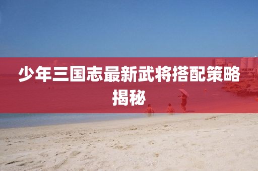 少年三國(guó)志最新武將搭配策略揭秘