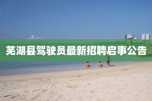 蕪湖縣駕駛員最新招聘啟事公告