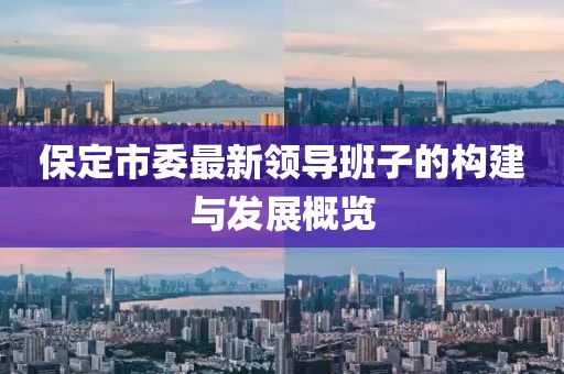 保定市委最新領(lǐng)導(dǎo)班子的構(gòu)建與發(fā)展概覽