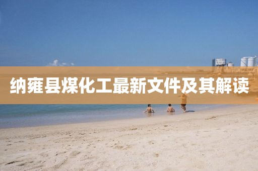 納雍縣煤化工最新文件及其解讀