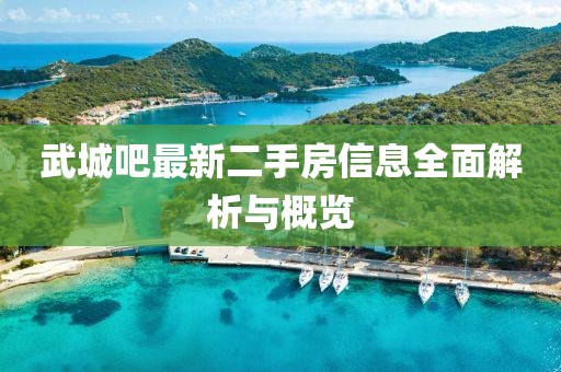 武城吧最新二手房信息全面解析與概覽