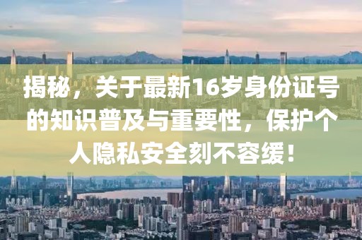揭秘，關(guān)于最新16歲身份證號(hào)的知識(shí)普及與重要性，保護(hù)個(gè)人隱私安全刻不容緩！
