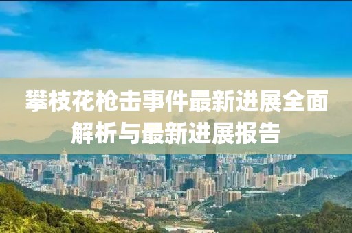 攀枝花槍擊事件最新進展全面解析與最新進展報告
