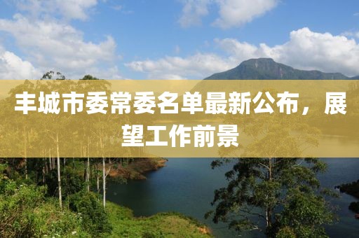 豐城市委常委名單最新公布，展望工作前景