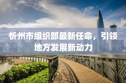 忻州市組織部最新任命，引領地方發(fā)展新動力