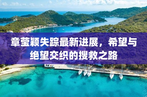章瑩穎失蹤最新進(jìn)展，希望與絕望交織的搜救之路
