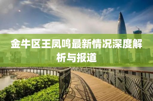 金牛區(qū)王鳳鳴最新情況深度解析與報道