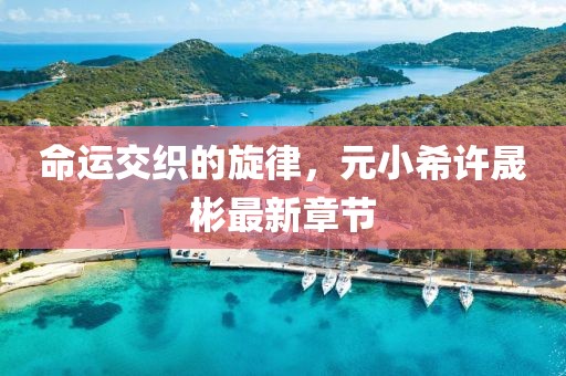 命運(yùn)交織的旋律，元小希許晟彬最新章節(jié)