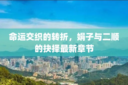 命運(yùn)交織的轉(zhuǎn)折，娟子與二順的抉擇最新章節(jié)