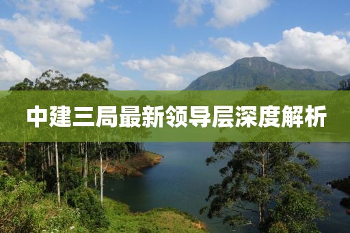 中建三局最新領(lǐng)導(dǎo)層深度解析