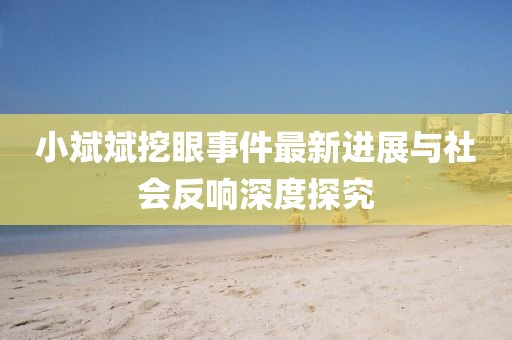 小斌斌挖眼事件最新進(jìn)展與社會反響深度探究