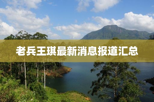老兵王琪最新消息報道匯總