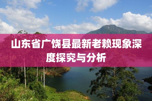 山東省廣饒縣最新老賴現(xiàn)象深度探究與分析