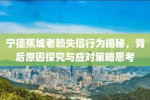 寧德蕉城老賴失信行為揭秘，背后原因探究與應(yīng)對(duì)策略思考