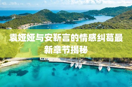袁婭婭與安靳言的情感糾葛最新章節(jié)揭秘