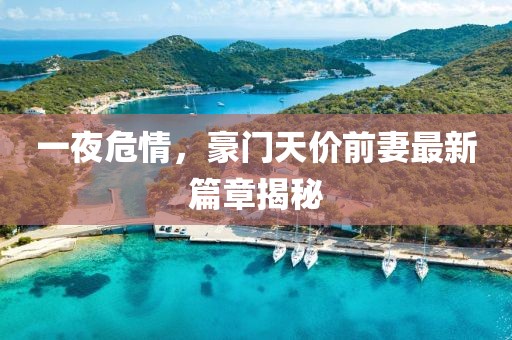 一夜危情，豪門天價前妻最新篇章揭秘