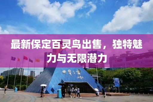 最新保定百靈鳥出售，獨(dú)特魅力與無限潛力