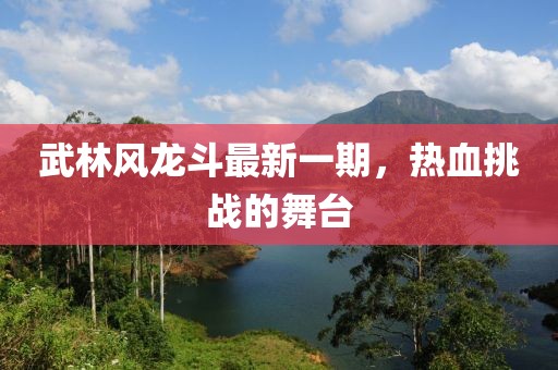 武林風龍斗最新一期，熱血挑戰(zhàn)的舞臺