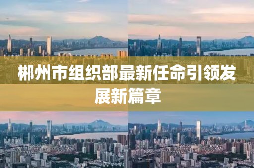 郴州市組織部最新任命引領(lǐng)發(fā)展新篇章
